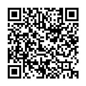所以见到吴虎臣居然敢偷偷的夺走了那枚关键的开启宝藏的钥匙二维码生成
