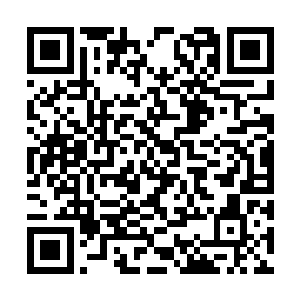 所以让玄日给蕊蕊还有小小云订珐琅国的宾馆房间二维码生成