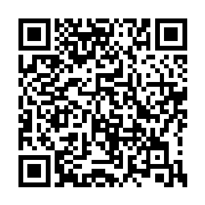 所以让留守在地球内部的九九长老回到混沌域界二维码生成