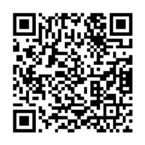 所以让虎啸天去的话也能给帮会的人形成一种威慑性二维码生成