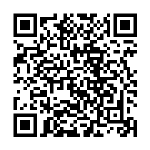 所以许德拉能不能承受最后一道劫雷的攻击也是未知数二维码生成