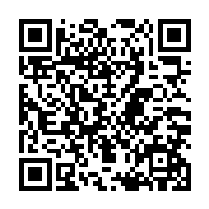 所以贾靓儿可以要求她们为自己去完成某些特定的任务二维码生成