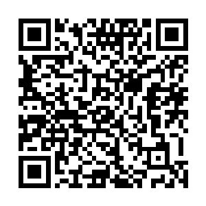 所以赤阳所带来的人吓得连上前扶受伤倒地的赤阳都不敢二维码生成