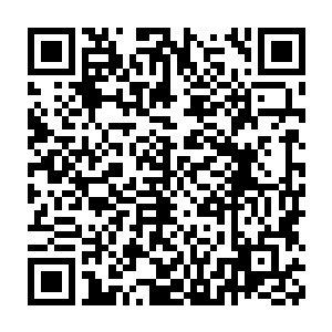 所以赵子龙借助着小胖的灵力原因具备了最初级的改造其它生物的能力二维码生成