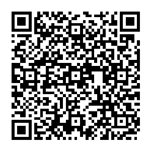 所以赵虎当初才会准备用平原地区富裕的生活勾引山区中的山民从山区当中走出来二维码生成
