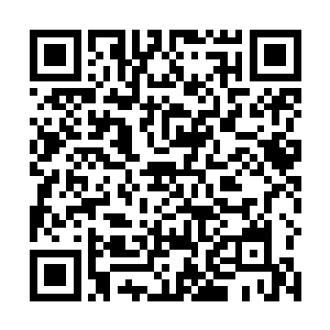 所以赵衷估计着林烽可能用的是其他的机关离开箱子的二维码生成