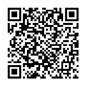 所以跟洪大力一起的众人全部都笑嘻嘻的看了洪大力一眼二维码生成