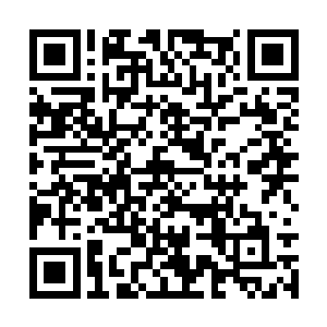 所以还不等那些燃烧着烈焰的羽毛击中这两个蛇妖二维码生成