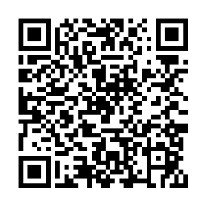 所以还是定了风暴剑士这个较为容易上手的职业二维码生成