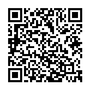 所以还没等到李子欣下到界面来叫人就给打死了二维码生成