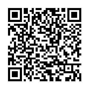 所以还请阁不要插手我青蛟一族跟锦鲤一族的事情二维码生成