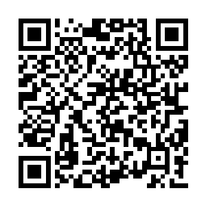 所以这一下的力量也早已超过了楚旬的承受极限二维码生成