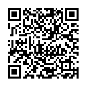 所以这一句叶儿早已经在叶枫的内心深处烙下刻印二维码生成