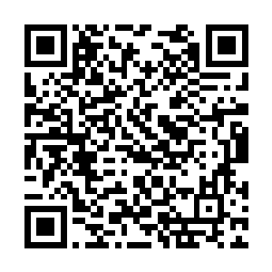 所以这一次化龙师兄随长老您来青锋剑派剑挑三院二维码生成