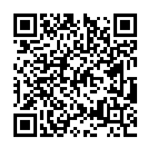 所以这一趟杨开根本不需要再使用龙岛令确认方位二维码生成