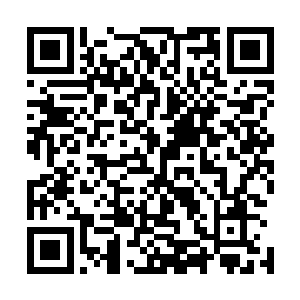 所以这一路上都没有天机宫的人出来找云起舞一行人的麻烦二维码生成