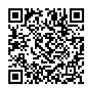 所以这两人此刻也是陷入了一个循环的怪圈之中二维码生成