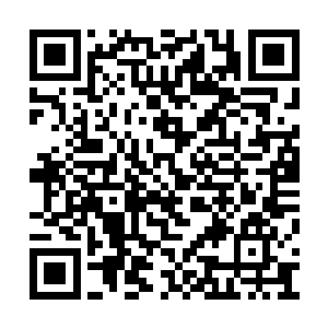 所以这个小型的训练场武器和装备还真的就不少二维码生成