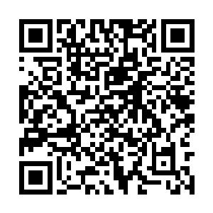 所以这个现存战力最强的探索小队也算是被堵住了二维码生成