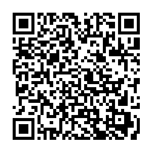 所以这些人无法拥有如关押在美国领土上时会享受的美国宪法所赋予的权利二维码生成