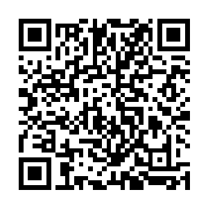 所以这些兄弟情谊有时候跟着利益相比起来什么都不是二维码生成