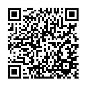 所以这些具有高等智慧的远古血脉海兽也只能黯然退去二维码生成