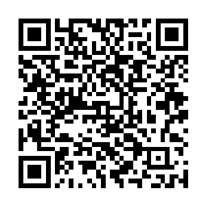 所以这些可以轻而易举秒掉丧尸的强者们不敢轻举妄动二维码生成