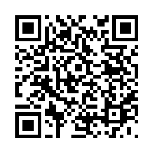 所以这些苏家少爷们一听被爷爷召唤二维码生成