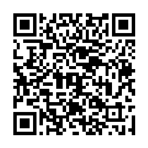 所以这些高阶修炼者并没有找到什么关于我的资料二维码生成