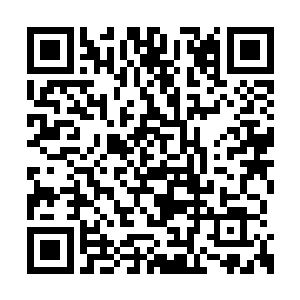 所以这会李妈妈见蔷薇这般大呼小叫地跑着进来二维码生成