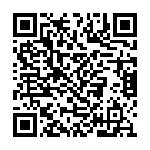 所以这叶箐昱也不好让天一道仙盟什么都捞不着二维码生成