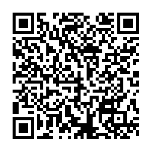 所以这大皇子一见那些兄弟都觊觎着自己的太子之位…然后被人一撺掇二维码生成