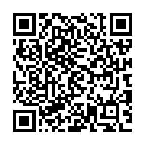 所以这才让杨戬两个人没有因为体内的能量的情况而耽误时间二维码生成
