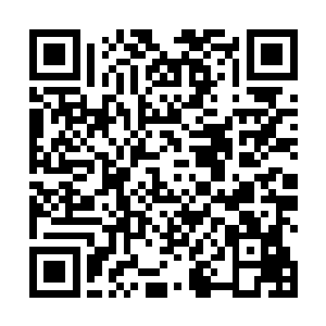 所以这支小队才会在古斗兽场遗址只停留了小半天时间二维码生成