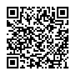 所以这次她们也把贝音瑶定位在了女王的位置上二维码生成