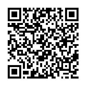 所以这次金城之下的地葬之棺绝对会是一场盛会二维码生成