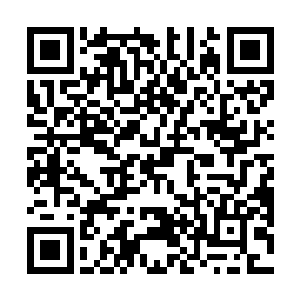 所以这种异变过后的寻蛇反而会变得更加的凶残和危险二维码生成