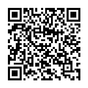 所以这种积攒起来的心态和期待在这一刻爆发出来二维码生成