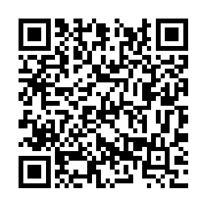 所以这里有很多型号根本就是市面上从未出现过的二维码生成