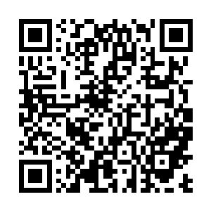 所以这里的一切都是按照打第三次世界大战的规模来的二维码生成
