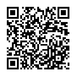 所以这里的六大尊王和所有仙兽王全都忌惮他们二维码生成