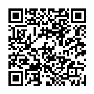 所以进入军事学院的学生各方面的素质必须要完全过关二维码生成