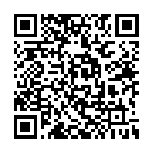 所以连张铁都差点忘了自己还有这么一个杀手锏二维码生成