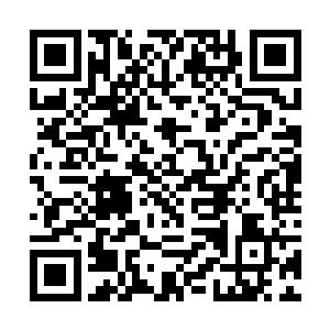 所以选了市府办一辆有些老旧但保养不错的丰田佳美二维码生成