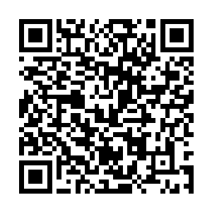 所以选择了成为巫师的追随者――这是好听的说法二维码生成