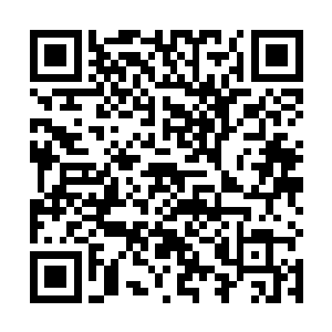所以造成你们白巫族人员惨死的是凤君泽而不是凤君曜二维码生成