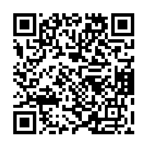 所以那两个黑袍神将也不用担心有人可以从别的地方进来二维码生成