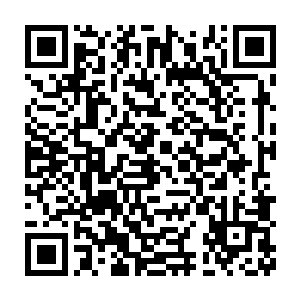 所以那个域外天魔依旧不肯浪费丝毫精力向后面释放一道神识探查二维码生成