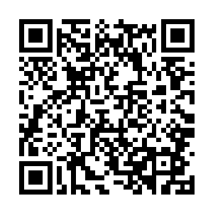 所以那个玩家在任务剧情里面只呆了不到三天时间二维码生成