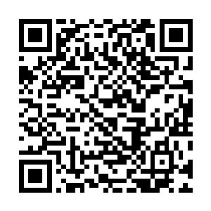 所以那个队长毫不犹豫地放弃了他那名被凌秦攻击的手下二维码生成